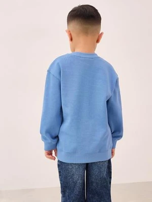 Bluza z czystej bawełny organicznej bonprix