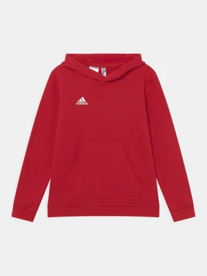 Bluza z kapturem Adidas czerwony