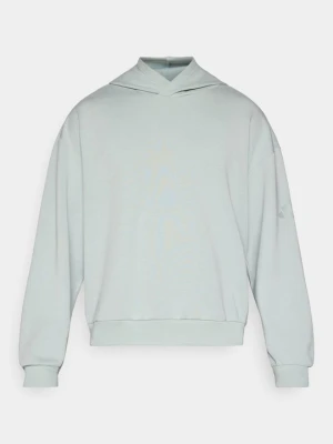 Bluza z kapturem Adidas jasnozielony