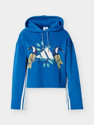Bluza z kapturem Adidas niebieski
