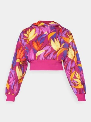 Bluza z kapturem adidas Sportswear