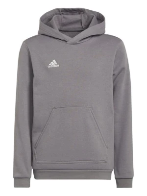 Bluza z kapturem Adidas szary