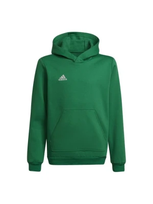 Bluza z kapturem Adidas zielony
