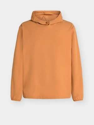 Bluza z kapturem Aigle