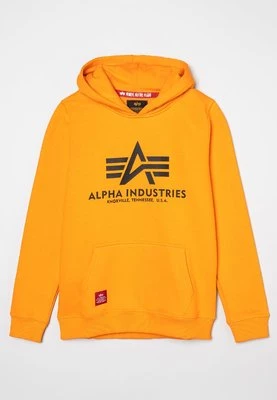 Bluza z kapturem alpha industries