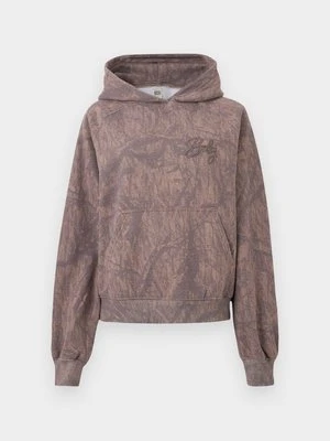 Bluza z kapturem BDG Urban Outfitters brązowy