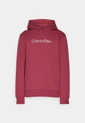 Bluza z kapturem Calvin Klein