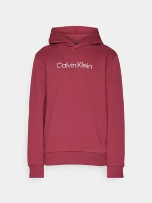 Bluza z kapturem Calvin Klein