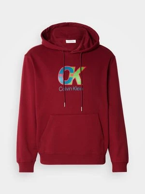 Bluza z kapturem Calvin Klein