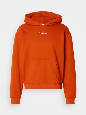 Bluza z kapturem Calvin Klein