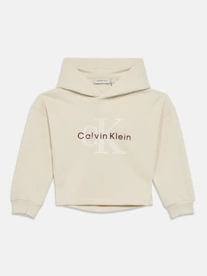 Bluza z kapturem Calvin Klein