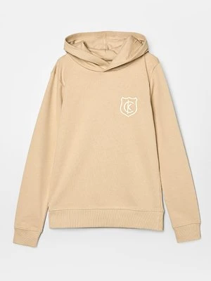 Bluza z kapturem Calvin Klein Jeans