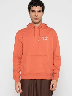 Bluza z kapturem Calvin Klein Jeans