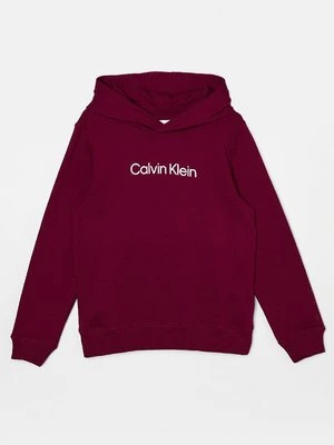 Bluza z kapturem Calvin Klein Jeans