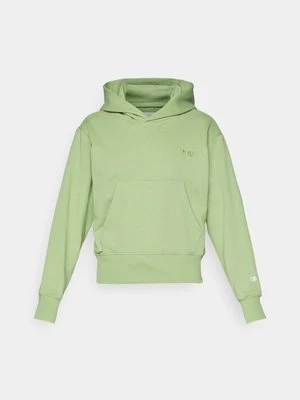 Bluza z kapturem Champion