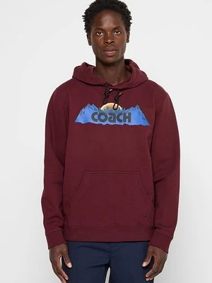 Bluza z kapturem Coach