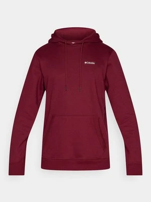 Bluza z kapturem Columbia