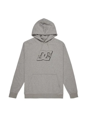 Bluza z kapturem DC Shoes szary