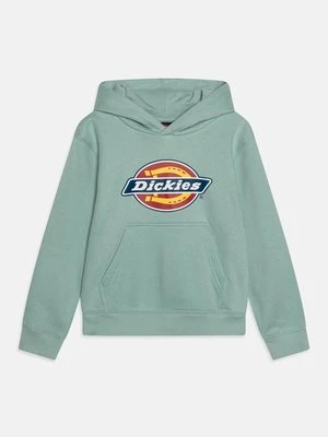 Bluza z kapturem Dickies