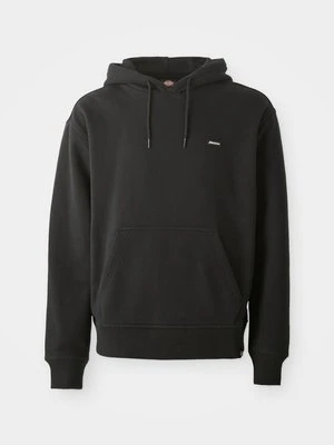 Zdjęcie produktu Bluza z kapturem Dickies
