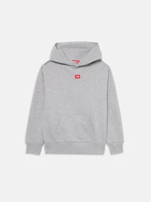 Bluza z kapturem Diesel szary