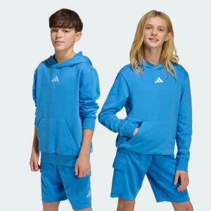 Bluza z kapturem dla dzieci Essentials Adidas niebieski