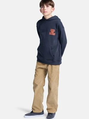 Bluza z kapturem Element