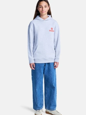 Bluza z kapturem Element jasnoszary