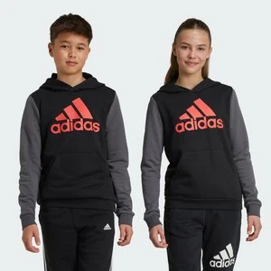 Bluza z kapturem Essentials Big Logo Colorblock Kids Adidas