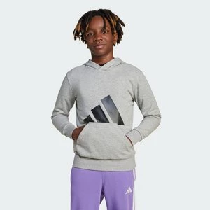 Bluza z kapturem Essentials Kids Adidas