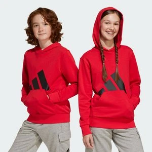 Bluza z kapturem Essentials Kids Adidas