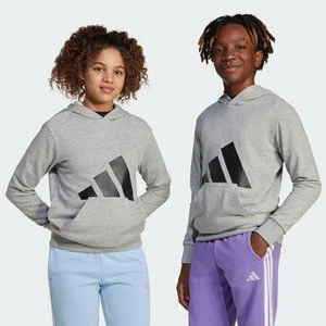 Bluza z kapturem Essentials Kids Adidas