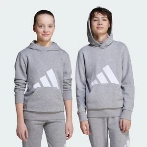 Bluza z kapturem Essentials Kids Adidas