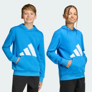 Bluza z kapturem Essentials Kids Adidas niebieski