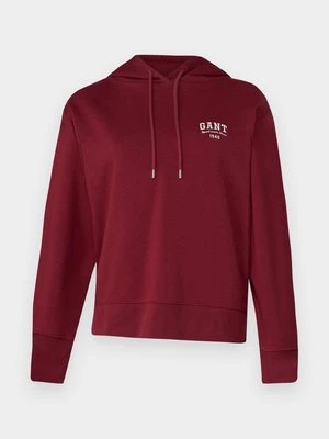 Bluza z kapturem Gant
