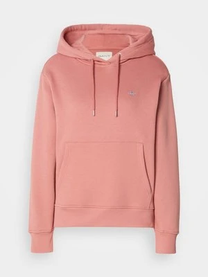 Bluza z kapturem Gant