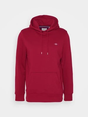 Bluza z kapturem Gant