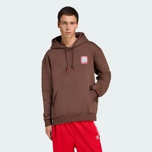 Bluza z kapturem Graphic Adidas