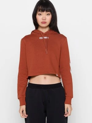 Bluza z kapturem Hummel