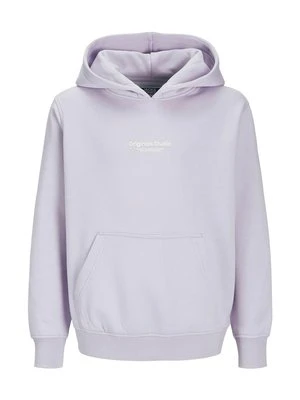 Bluza z kapturem Jack & Jones Junior