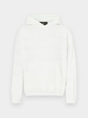 Bluza z kapturem Jordan