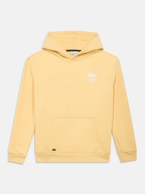 Bluza z kapturem Lacoste