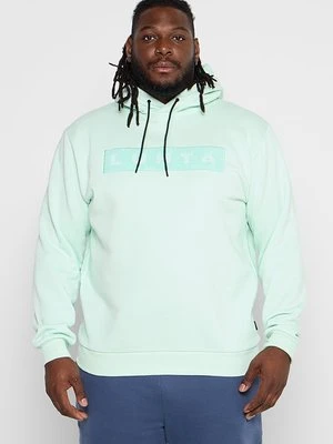 Bluza z kapturem LUHTA