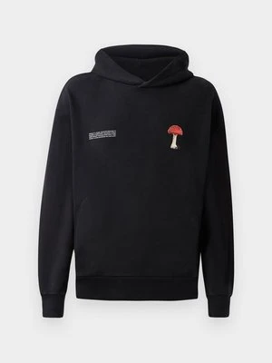 Bluza z kapturem PANGAIA