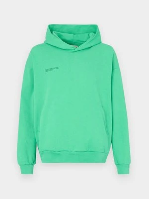 Bluza z kapturem PANGAIA