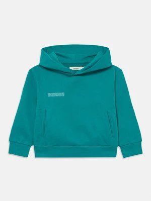 Bluza z kapturem PANGAIA zielony