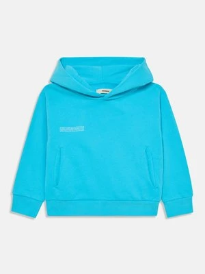 Bluza z kapturem PANGAIA