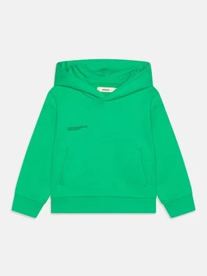 Bluza z kapturem PANGAIA
