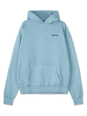 Bluza z kapturem Pegador jasnoniebieski