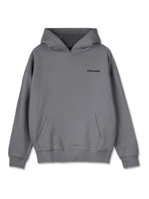 Bluza z kapturem Pegador ciemnoszary